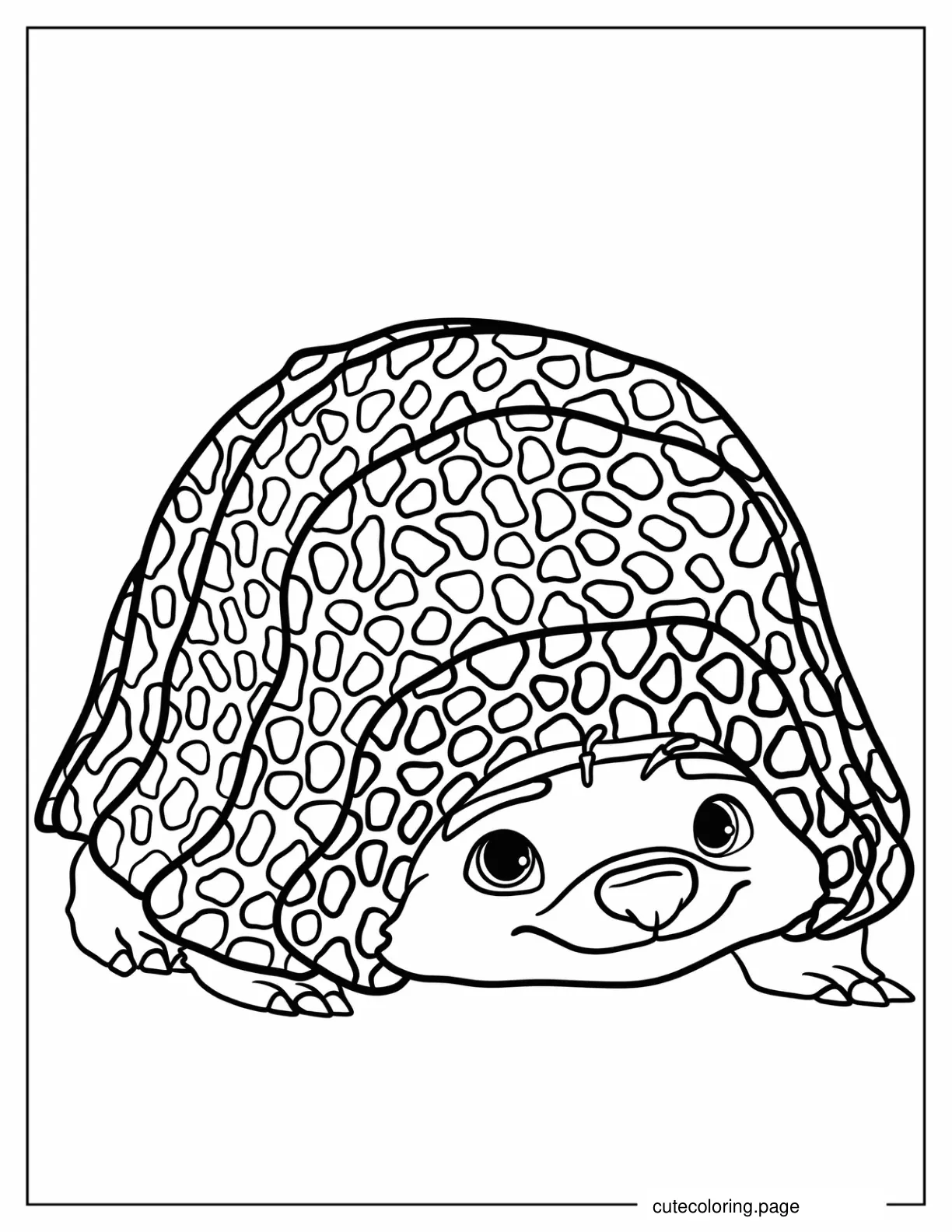 Kawaii Tuk Tuk The Armadillo Coloring Sheet For Kids coloring page